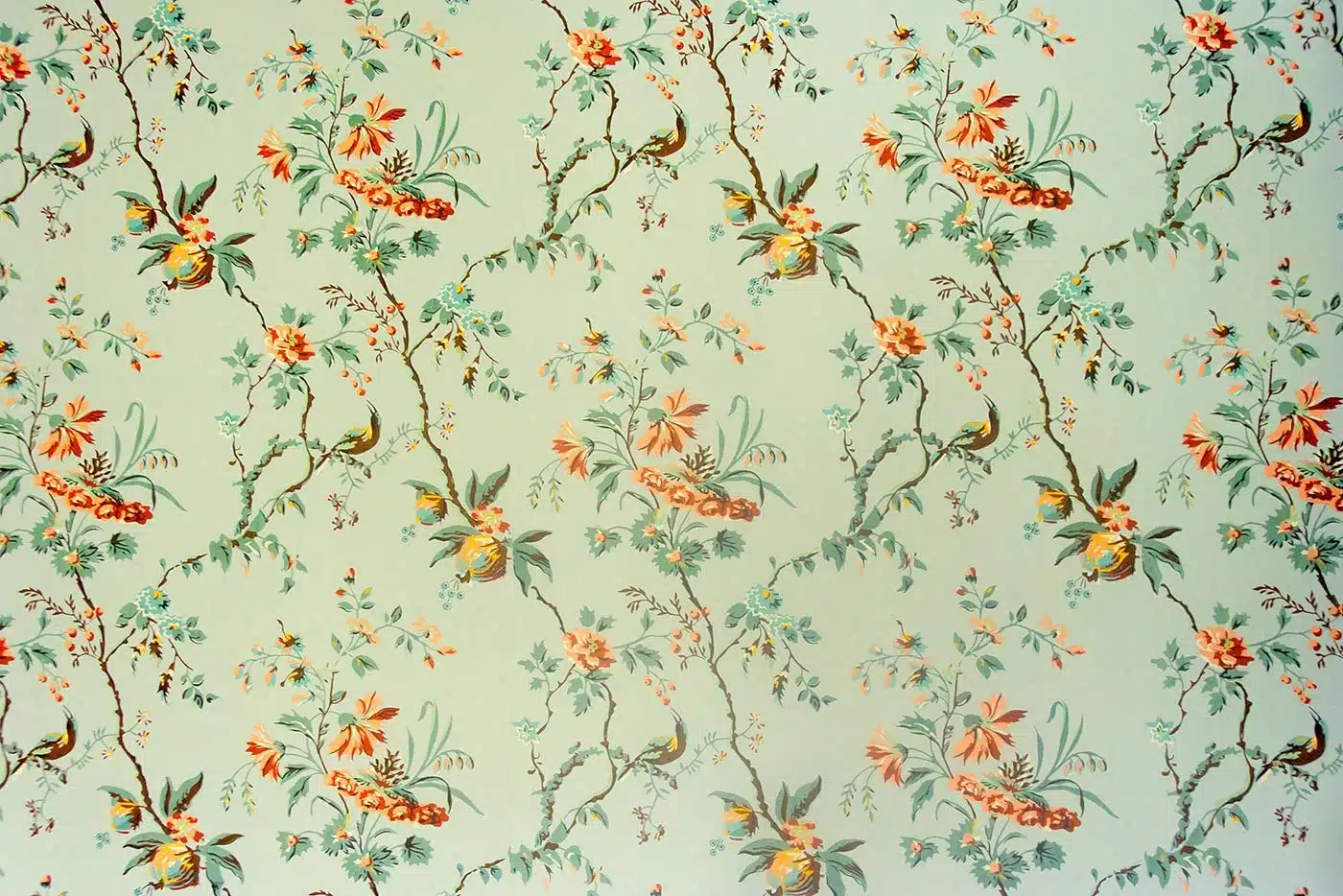 Muro con carta da parati floreale colorata